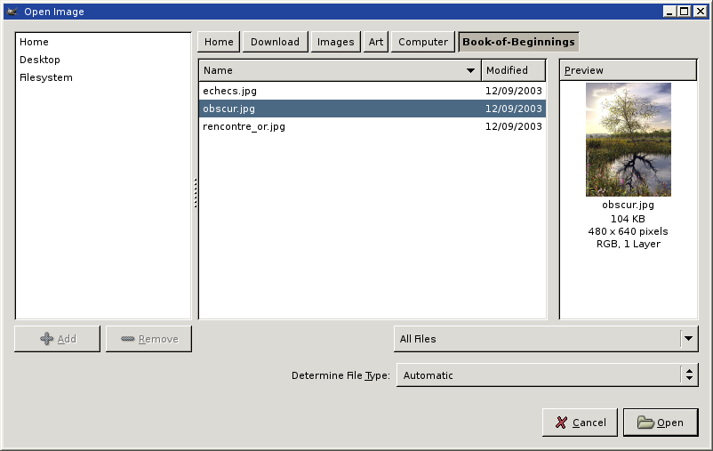 Gtk 2.4.x file chooser screenshot