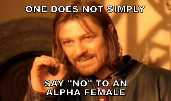One does not simply say “no” to an Alpha Female. One does not simply say “no” to an Alpha Female.