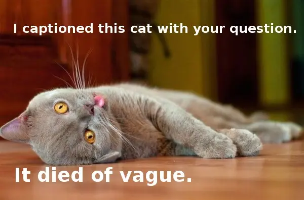 captioned cat died of vague